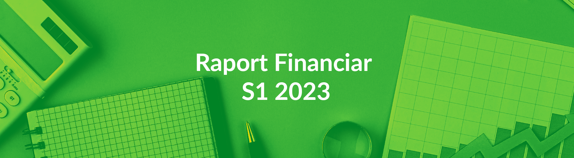 Raport financiar S1