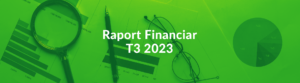 raport financiar T3