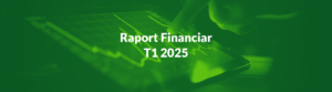 raport financiar T1 2025