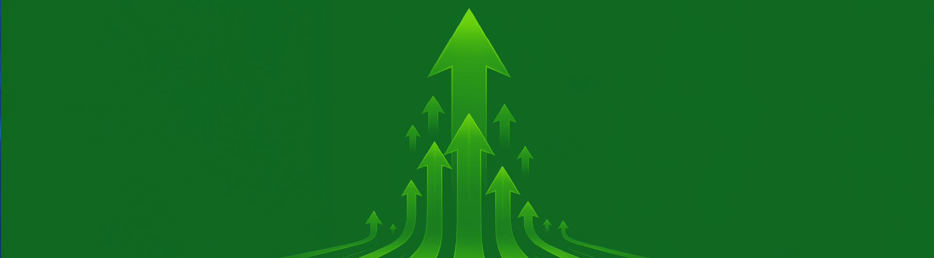 Raport Financiar T3 2025