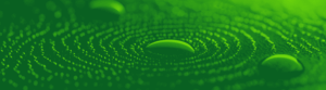 Pay Transparency Solutions